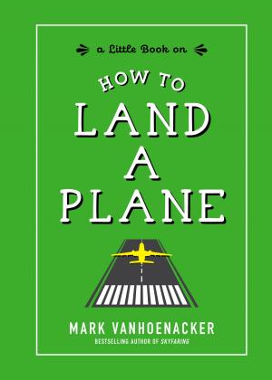 Cover of the book How to Land a Plane by Lukas Volger