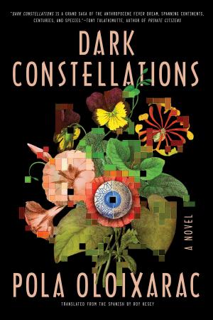 Cover of the book Dark Constellations by James Sallis