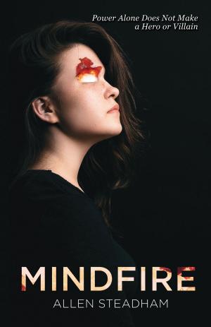 Cover of the book Mindfire by S.M. Nevermore