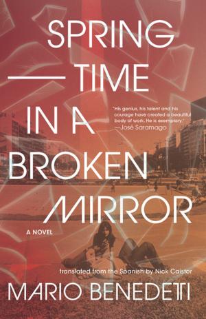 Cover of the book Springtime in a Broken Mirror by Sachin Kundalkar