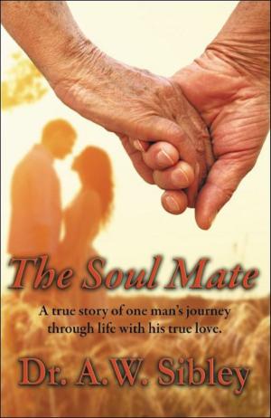 Cover of The Soul Mate: A Love Story