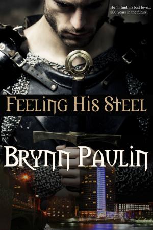 Cover of the book Feeling His Steel by Laney Rogers