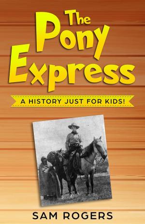 Cover of the book The Pony Express by Paul Brody