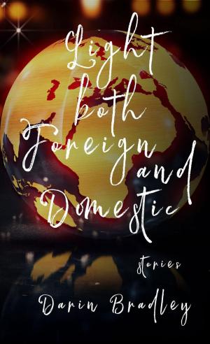 Book cover of Light Both Foreign and Domestic
