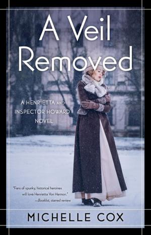 Cover of the book A Veil Removed by Linda I. Meyers