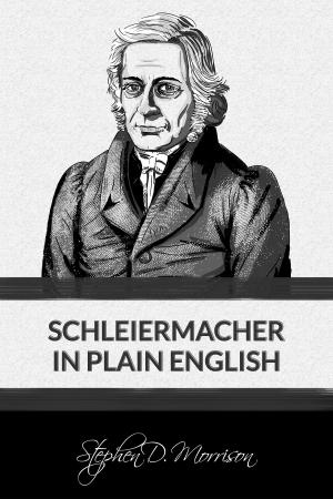 Cover of the book Schleiermacher in Plain English by Mike Bhangu