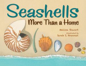 Cover of the book Seashells by Abby Cooper