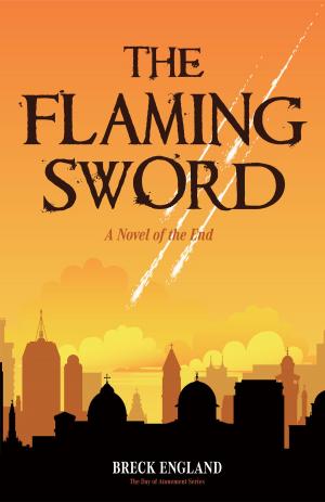 Book cover of The Flaming Sword