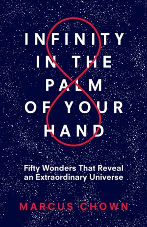 Cover of the book Infinity in the Palm of Your Hand by Deborah Chester