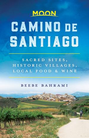 bigCover of the book Moon Camino de Santiago by 