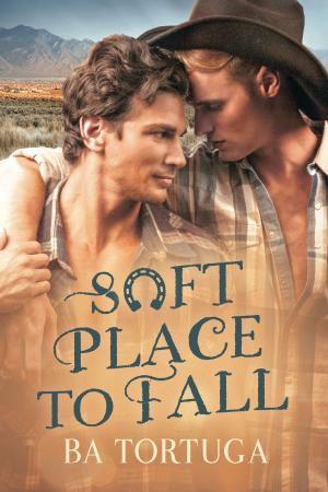 Cover of the book Soft Place to Fall by Bruce Rose