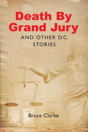 Book cover of Death by Grand Jury and Other D.C. Stories