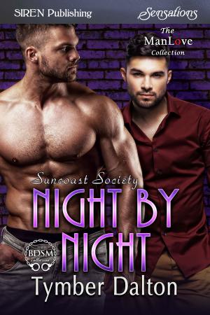 Cover of the book Night by Night by Em Ashcroft