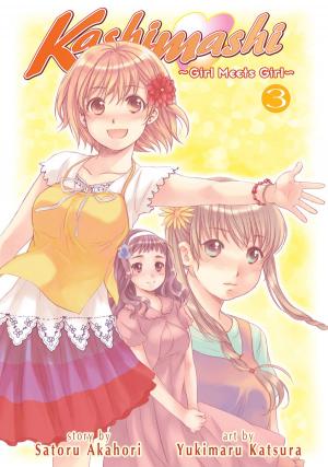 Book cover of Kashimashi ~Girl Meets Girl~ Vol. 3