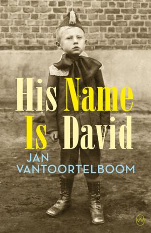 Cover of the book His Name is David by Saskia de Coster