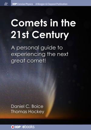 Cover of the book Comets in the 21st Century by Victor Kaptelinin, Bonnie Nardi