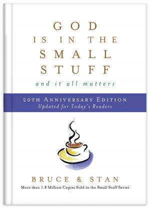 Cover of the book God Is in the Small Stuff 20th Anniversary Edition by Pamela L. McQuade