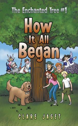 Cover of the book How It All Began by solospaceman