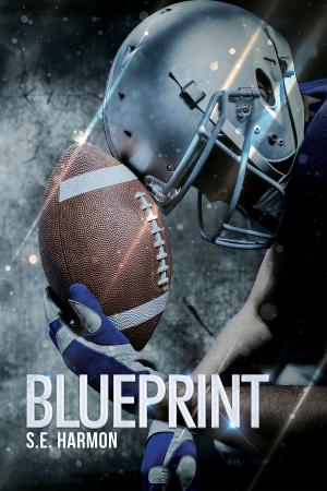 Cover of the book Blueprint (Italiano) by Brita Addams