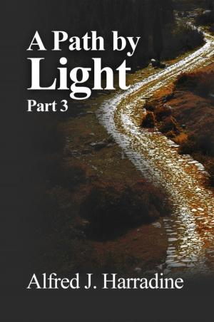 Cover of the book A Path By Light by Andrew J. Congleton