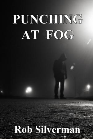 Cover of the book Punching at Fog by Zrinka Jelic