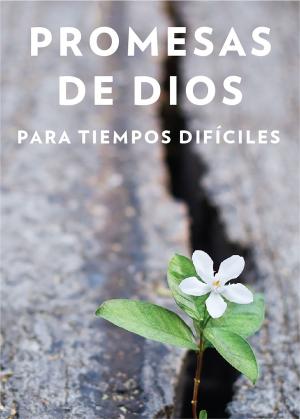 Book cover of Promesas de Dios para tiempos difíciles