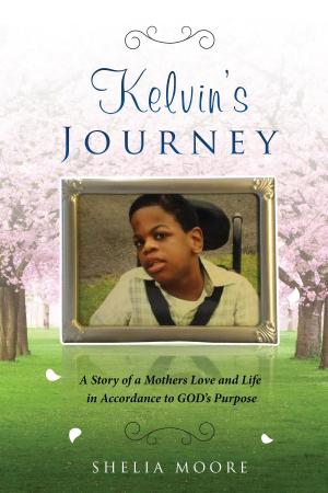 Cover of the book Kelvin's Journey by Peter Newman
