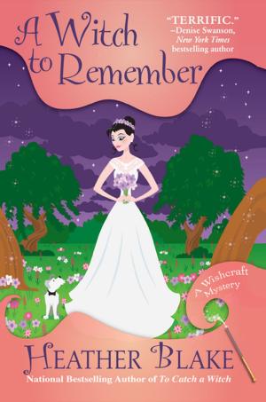 Cover of the book A Witch to Remember by Sheila Connolly