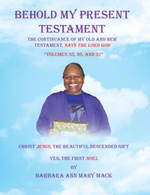 Cover of the book Behold My Present Testament by Perry Klein