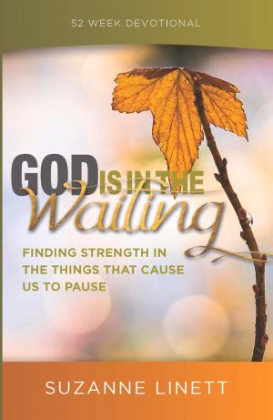 Cover of God Is In The Waiting