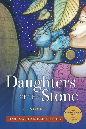 Cover of the book Daughters of the Stone by Rohan Quine