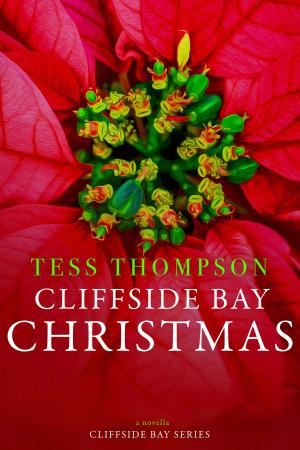 Cover of the book Cliffside Christmas by P. A. Moore