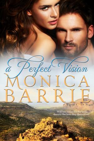 Cover of the book A Perfect Vision by Debra Elizabeth