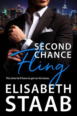 Cover of the book Second Chance Fling by Ellen Lane