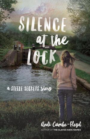 Book cover of Silence at the Lock