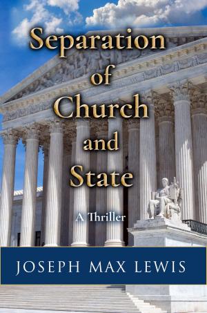Cover of the book Separation of Church and State by Peter Hill