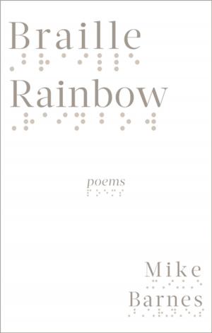 Cover of the book Braille Rainbow by Robert Melançon