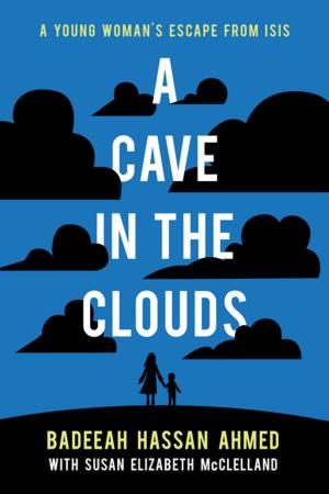 Cover of the book A Cave in the Clouds by Michelle Barker