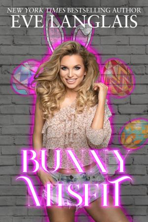 Cover of the book Bunny Misfit by Lucinda Race