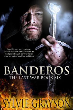 Cover of Banderos, The Last War: Book Six