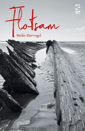 Cover of the book Flotsam by Nicholas Royle