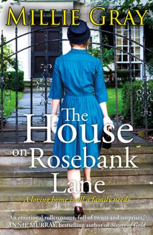 bigCover of the book The House on Rosebank Lane by 
