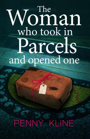 Cover of the book The Woman Who Took in Parcels by Zara Stoneley