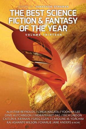 Book cover of The Best Science Fiction and Fantasy of the Year, Volume Thirteen