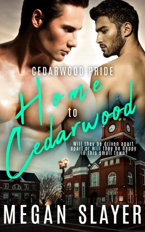 Book cover of Home to Cedarwood