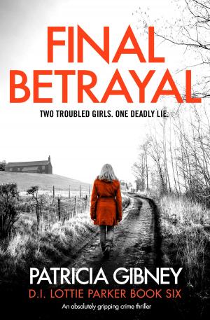Cover of the book Final Betrayal by K.L. Slater
