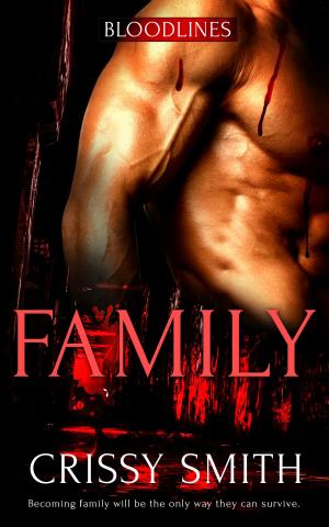 Cover of the book Family by Anise Storm