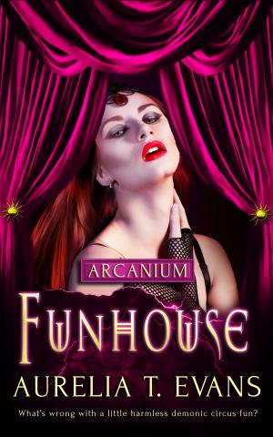 Cover of the book Funhouse by Helena Maeve