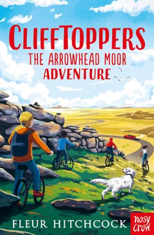 Book cover of Clifftoppers