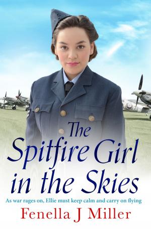 Book cover of The Spitfire Girl in the Skies